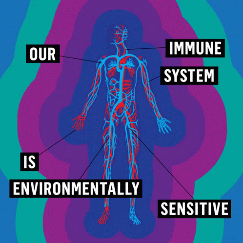 healthy immune system GIF