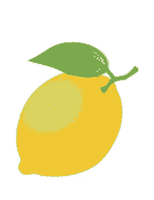 lemon waving leaf fruit sour acidic