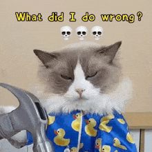 What Did I Do Wrong Puff GIF - What Did I Do Wrong Puff Meow Chef GIFs