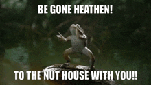 a frog is dancing on a rock with a caption that says be gone heathen to the nut house with you