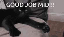 Thumbsup Cat GIF - Thumbsup Cat Mid GIFs