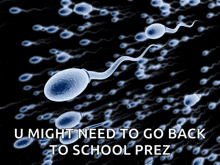 a picture of sperm with the words " u might need to go back to school prez "