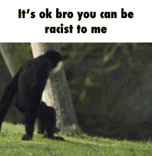 Bodeguys You Can Be Racist To Me GIF