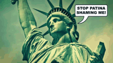 Patina Shaming GIF - Patina Shaming Statue Of Liberty GIFs