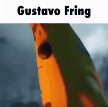 Gustavo Gustavo Fring GIF - Gustavo Gus Gustavo Fring GIFs