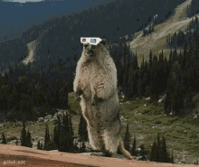 Iota Tanglevision GIF - Iota Tanglevision Beaver GIFs