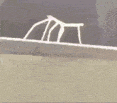 a close up of a clothes hanger with a spider on it