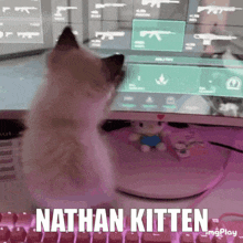 Nathan Kitten GIF - Nathan Kitten Nathan Kitten GIFs