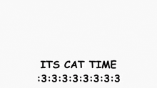 Cat Azumanga Daioh GIF - Cat Azumanga Daioh GIFs