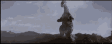 Godzilla Terror Of Mechagodzilla GIF - Godzilla Terror Of Mechagodzilla Titanosaurus GIFs