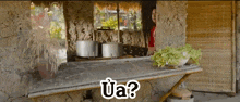 a woman is standing in front of a wooden table with pots on it and a sign that says ua .