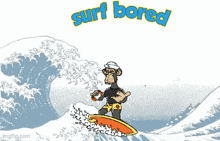 Surfing Bored GIF - Surfing Surf Bored GIFs