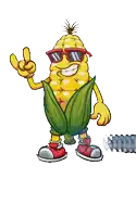 a cartoon of a corn on the cob with sunglasses and the words nautiha o.g. sweetcorn below it