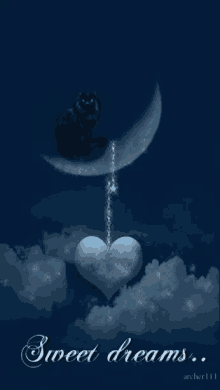 cat heart moon sweetdreams goodnight