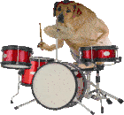 Dog Drummer Sticker