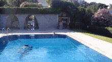 Startled Cats GIF - Startled Cats Pools GIFs