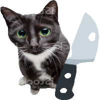 Cat With A Knife Sticker - Cat With A Knife Stickers