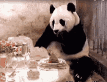 bill panda restaurant bill shocked