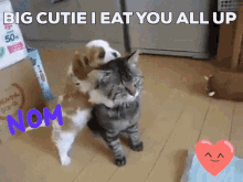 These Cute Animals Eating Will Have You All Faklempt - Señor GIF