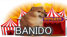 Banido Ban GIF - Banido Ban Banido Discord GIFs