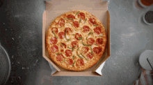 Dominos Fast Food GIF