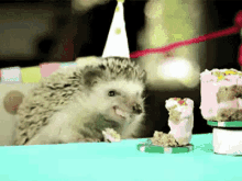 Birthday Cute GIF - Birthday Cute Hedgehog GIFs