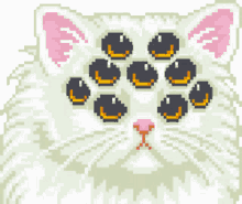 angai313 cat cat with many eyes cat multiple eyes