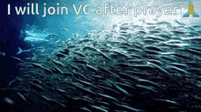 Fish Vc GIF - Fish Vc GIFs
