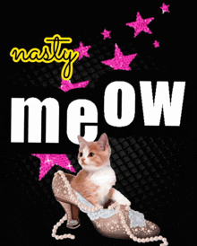 a picture of a cat in a shoe with the word meow behind it