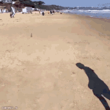 Todd Cantwell GIF - Todd Cantwell Bournemouth GIFs