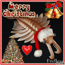 a christmas card with a dinosaur wearing a santa hat and the words merry christmas