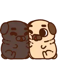 a black pug and a brown pug are kissing