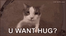 Hugs U Want Hug GIF