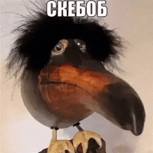 a bird with a very long beak has the word ckebob written on it