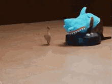 Totally Normal. GIF - Cat Cats Duck GIFs