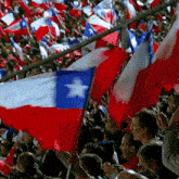 Banderas De Chile Federación De Fútbol De Chile GIF - Banderas De Chile Federación De Fútbol De Chile Hinchada GIFs