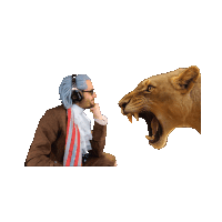 a man wearing headphones looks at a lioness with its mouth open