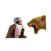 a man wearing headphones looks at a lioness with its mouth open