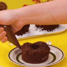 a person is piping chocolate on a chocolate cake on a plate