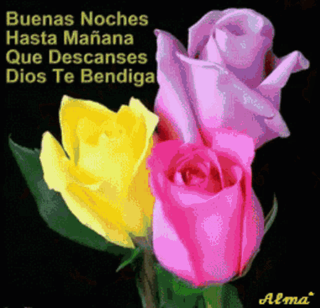 Buenas Noches Rosas GIF - Buenas Noches Rosas Flower - Discover & Share GIFs