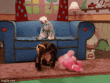 two stuffed animals are playing on a blue couch in a living room