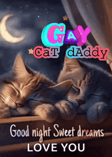 two cats sleeping on a window sill with the words " good night sweet dreams love you " below them