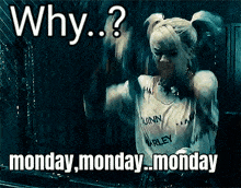 harley quinn is wearing a shirt that says " harley quinn " on it