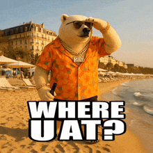 a polar bear wearing sunglasses and a shirt that says rudy