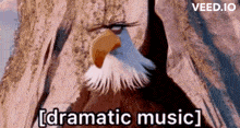 Mighty Eagle Dramatic Music GIF