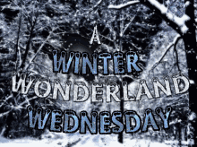 Wednesday Winter GIF - Wednesday Winter Winter Wednesday GIFs