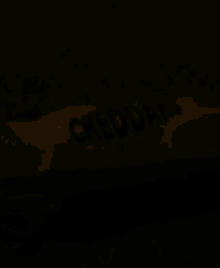 a close up of a package of cheddars lays on the ground