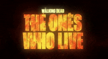 Twd The Walking Dead GIF