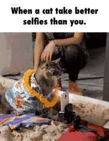 Funny Cats GIF - Funny Cats Selfies GIFs