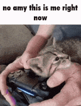a person is holding a video game controller with a kitten on top of it .